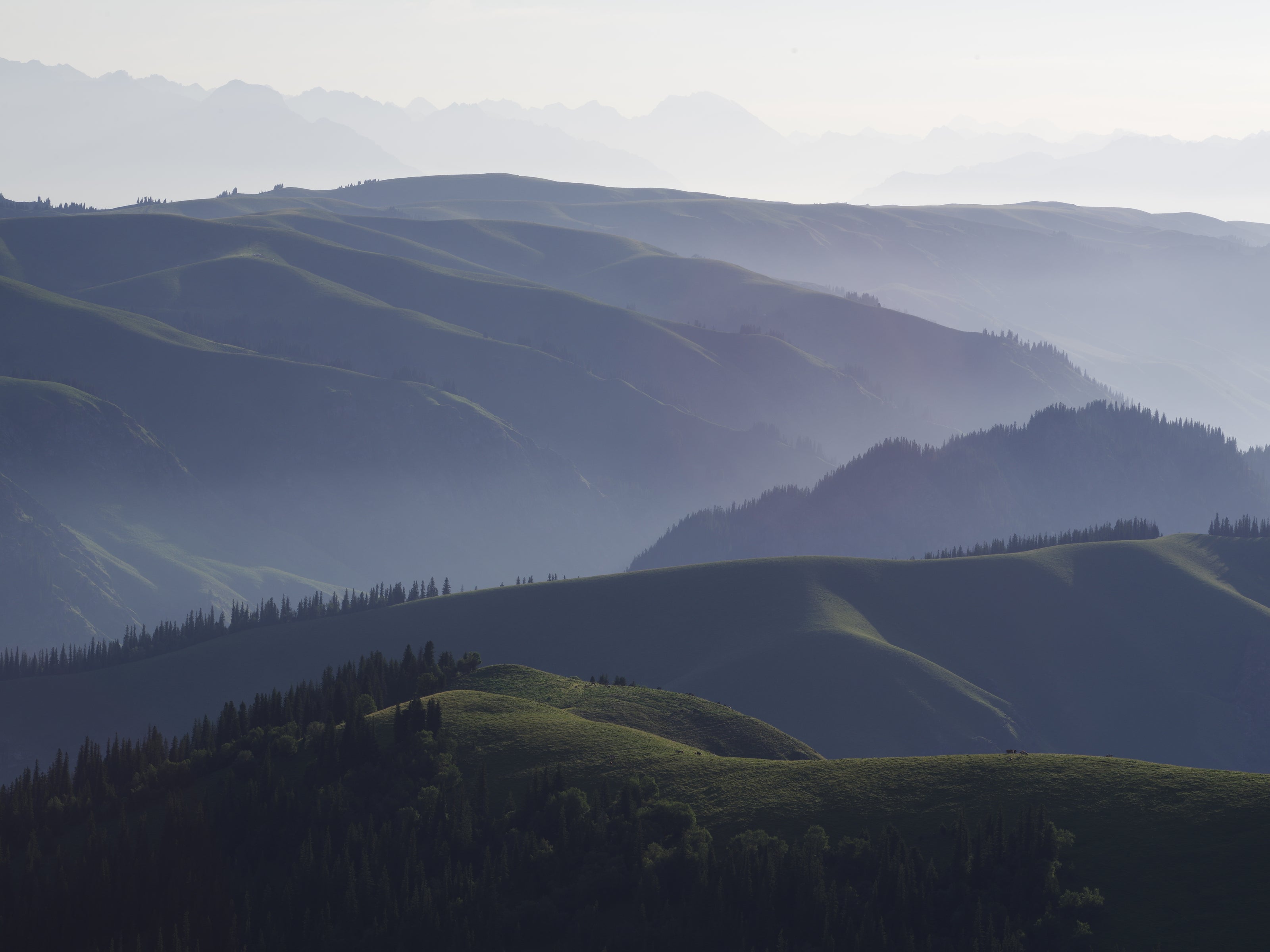 Cascading hillside across the horizon