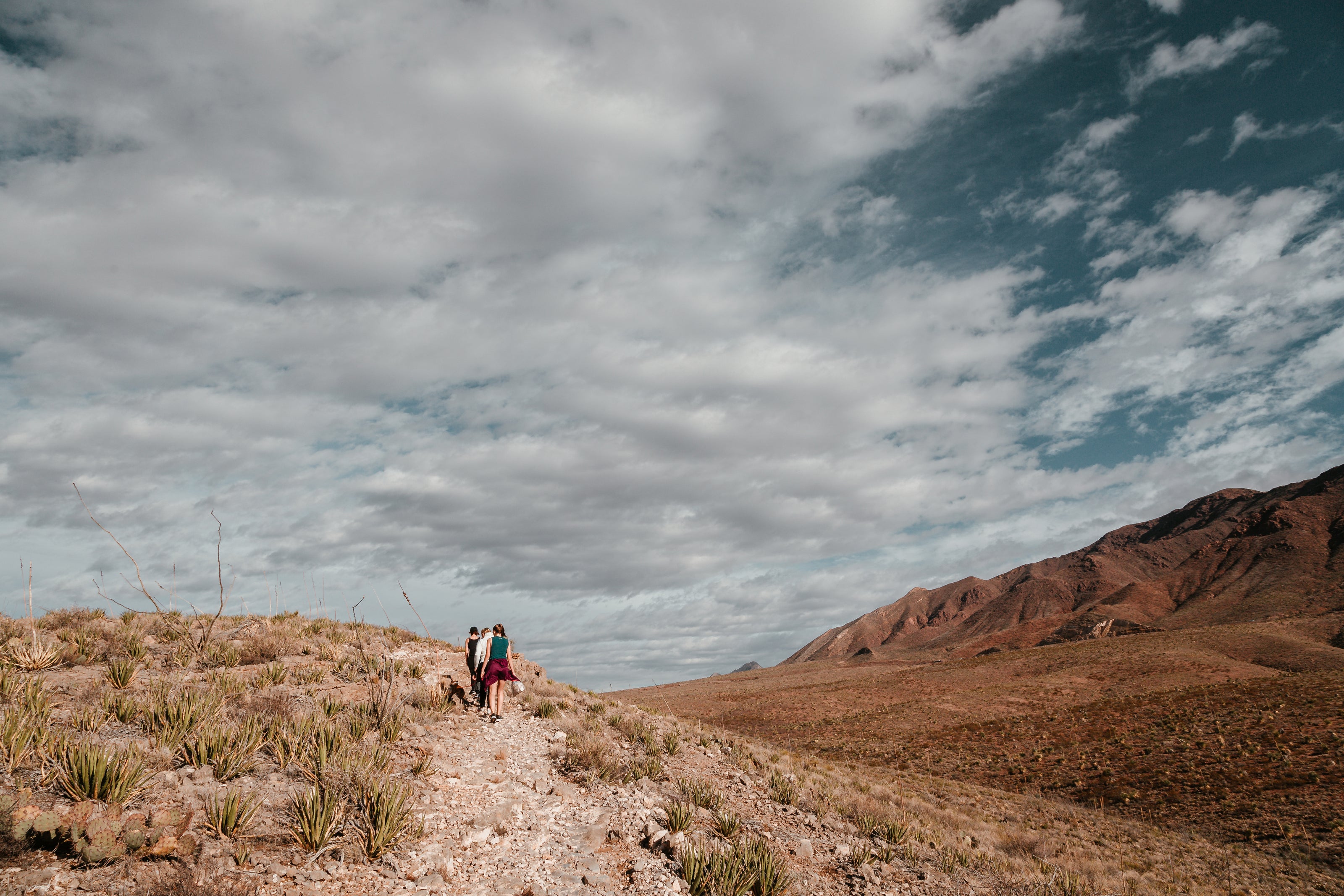 People walking on a path through the dessert