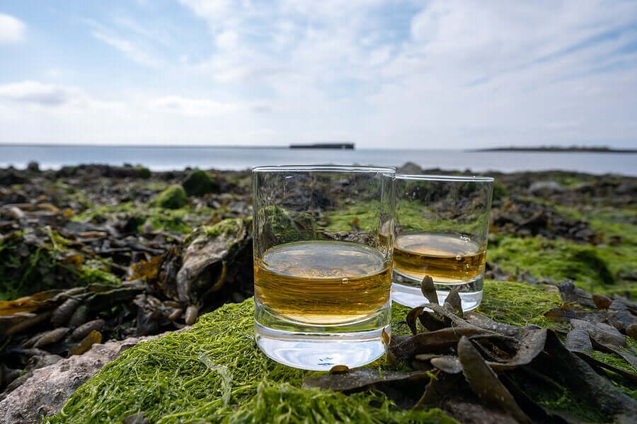 Two glasses of whiskey on a rocky outcrop with a scenic background